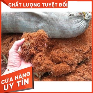 1KG MỤN SƠ DỪA ( ĐÃ QUA XỬ LÝ)