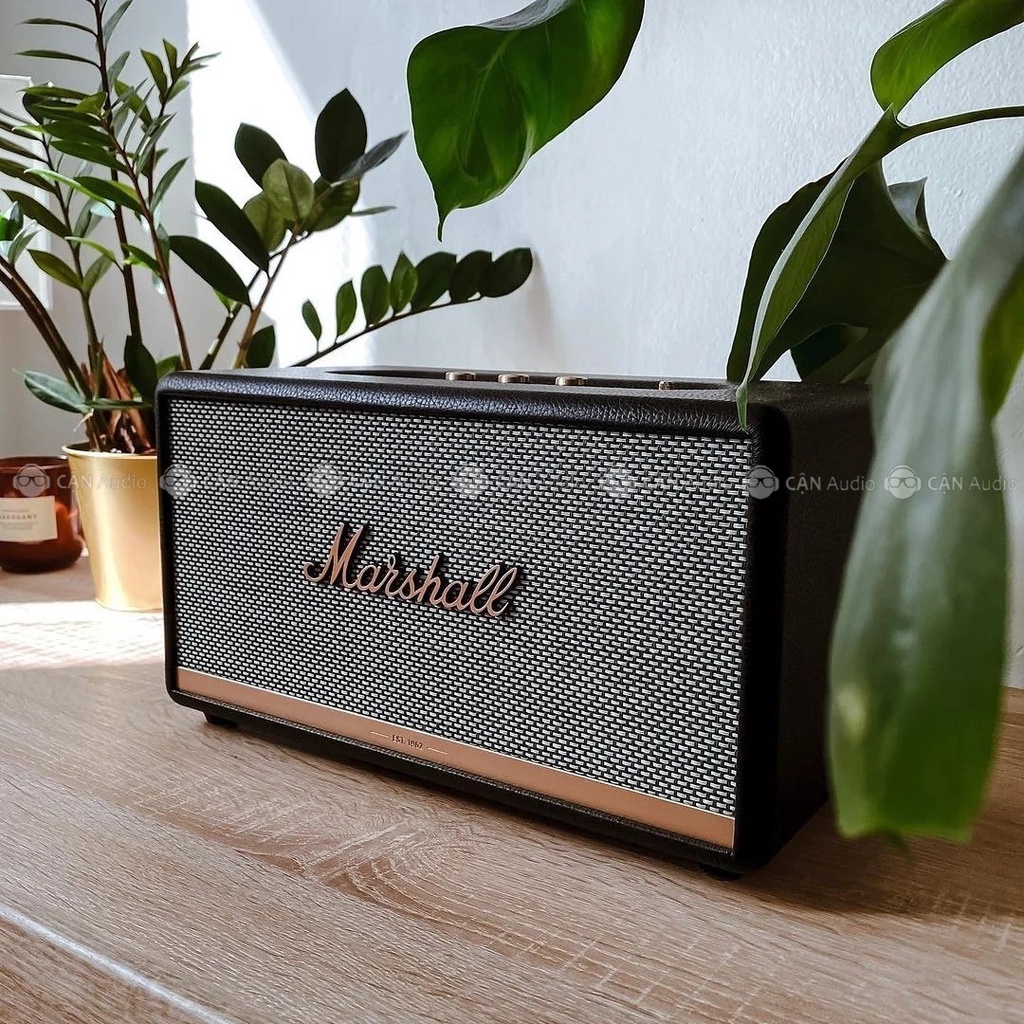 Loa Bluetooth Marshall Stanmore 2 - Cận Audio