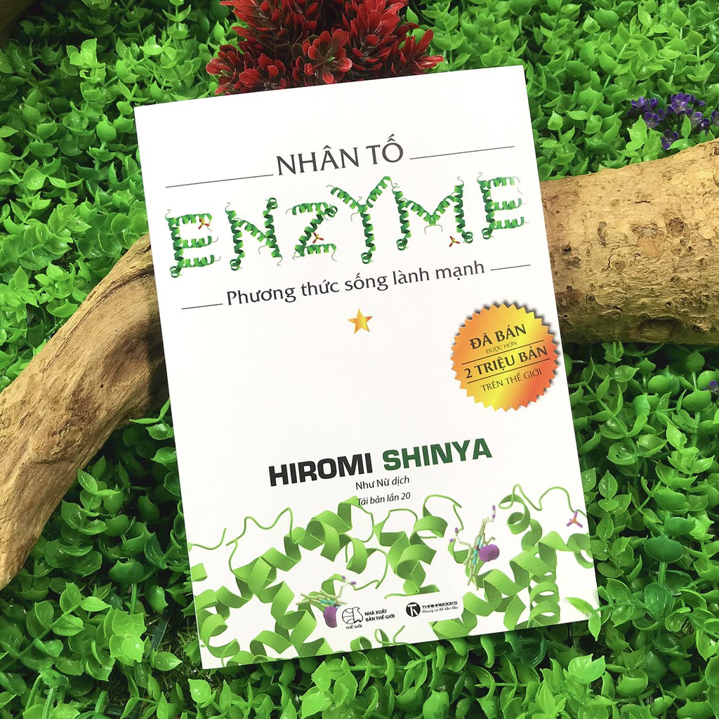 Sách - Nhân Tố Enzyme (Combo 4 quyển, lẻ tùy chọn)