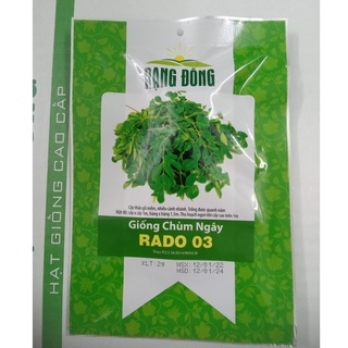 Hạt giống rau Chùm ngây (2gr hạt)