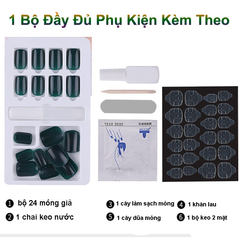 Hộp 24 Móng giả, nail giả, Kèm keo khô và keo nước, Cây dũa (24-03)