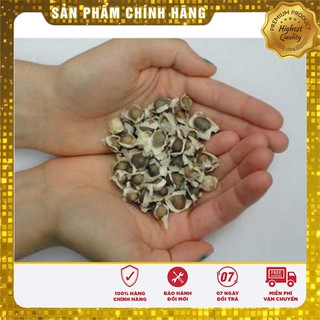 Bộ gói hạt giống Chùm ngây