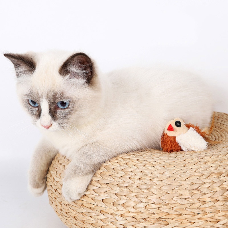 Đồ Chơi Tàu Lửa Điện Tử Bắt Chim Mềm Nhiều Màu Tương Tác Cho Mèo Cưng