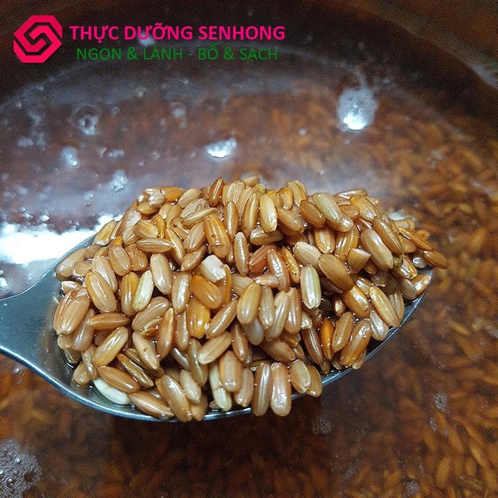Gạo lứt Đỏ Hữu Cơ (túi 2Kg) - Gạo sạch Vuông Tôm 6 Tháng 1 vụ | BigBuy360 - bigbuy360.vn