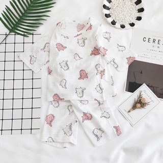 Bộ cotton giấy BT&BG