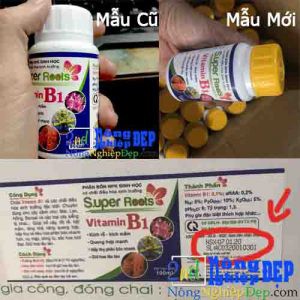 Vitamin B1 Super Roots – Kích rễ, kích mầm, giữ hoa lâu tàn