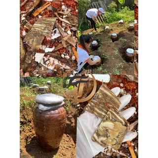 Gừng nghệ gấc hạ thổ Thuận thiên shop ( loại đặc biệt cho body )