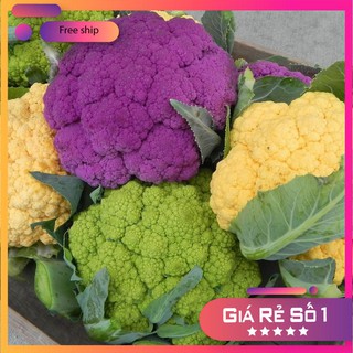 Hạt giống Súp lơ nhiều màu (10 hạt)