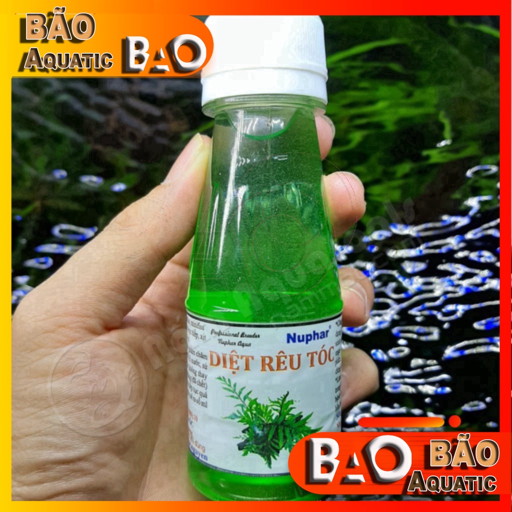 Diệt rêu tóc Nuphar Chế Phẩm Đặc Trị Rêu Tóc Và Kiểm Soát Mọi Loại Rêu Hại