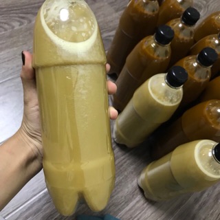 Cốt gừng hạ thổ