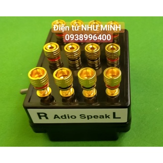 Bộ chuyển cầu loa – 2 ampli ra 1 cặp loa