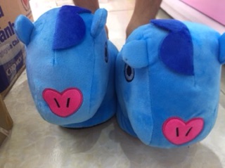 Dép/Giày BT21 mềm mịn êm