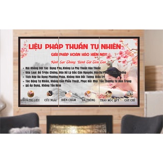 Tranh đông y 3 tranh ghép khổ 70 x 1,21m