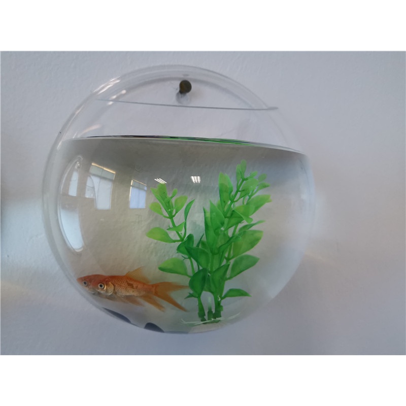 Bể Cá Gắn Tường Ba Màu Sắc Hình Cầu Bằng acrylic Sáng Tạo