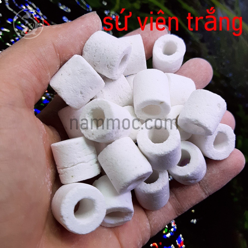 [100gr] Sứ Viên Trắng | Sứ Lỗ Trắng - Vật liệu lọc nước cho bể cá cảnh, bể thuỷ sinh