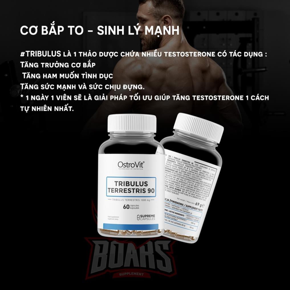 TRIBULUS TERRESTRIS 90 - THỰC PHẨM SỨC KHỎE, TĂNG CƯỜNG SỨC MẠNH CƠ BẮP, KHẢ NĂNG ĐÀN ÔNG (60 VIÊN)