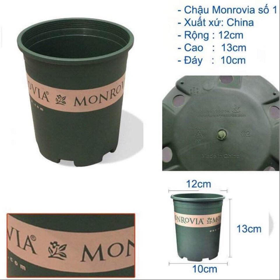 Chậu Monrovia 1GL
