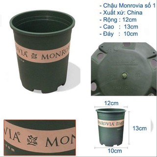 Chậu Monrovia 1GL