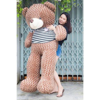 Gấu bông teddy cao cấp khổ vải 2m cao 1,8m màu xám khói hàng vnxk