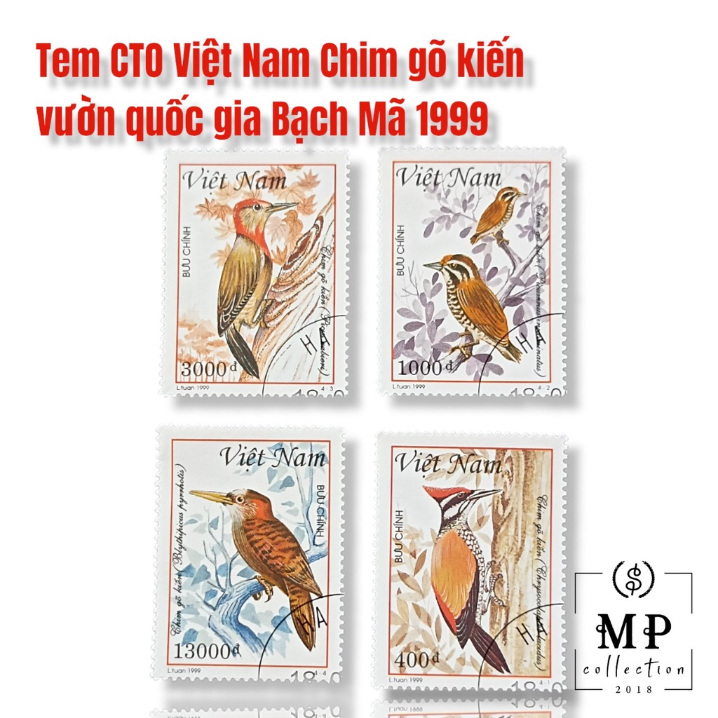 Tem sưu tập MS 776 Tem CTO Việt Nam Chim gõ kiến vườn quốc gia Bạch Mã 1999 ( 4 tem )