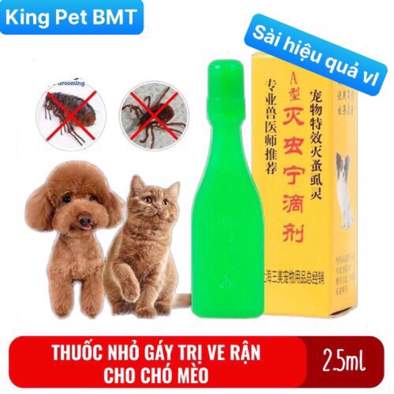 NHỎ GÁY TRỊ VE, BỌ HÀNG NỘI ĐỊA TRUNG