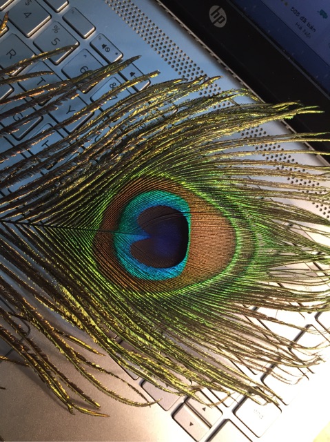 Lông công phong thuỷ tự nhiên 70-75cm LOẠI 1 mắt to đẹp | BigBuy360 - bigbuy360.vn