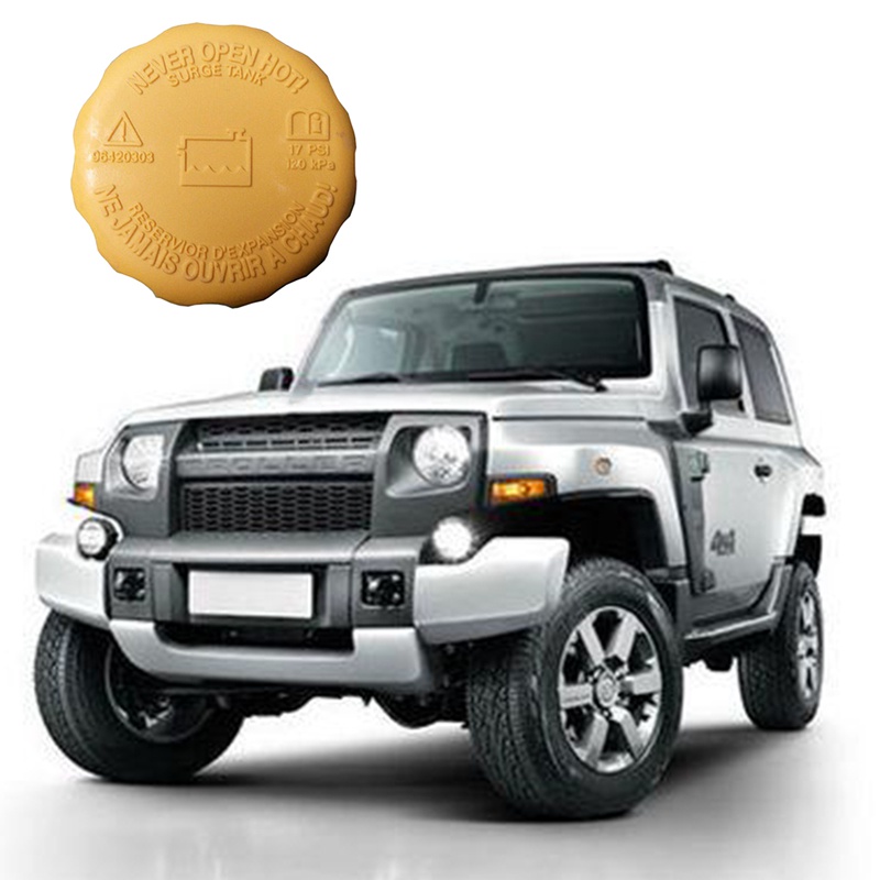 Nắp Bình Nước Tản Nhiệt Mở Rộng Cho Chevrolet Aveo Optra Nubira Lanos Pontiac G3 Ford 96420303 96536649 90500006