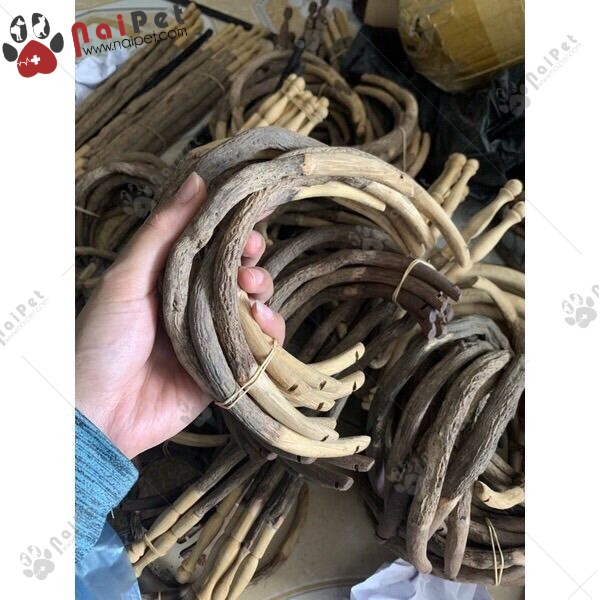 Cầu Thuốc Cầu Bán Nguyệt Cầu Góc Cho Chim Đậu CAU002