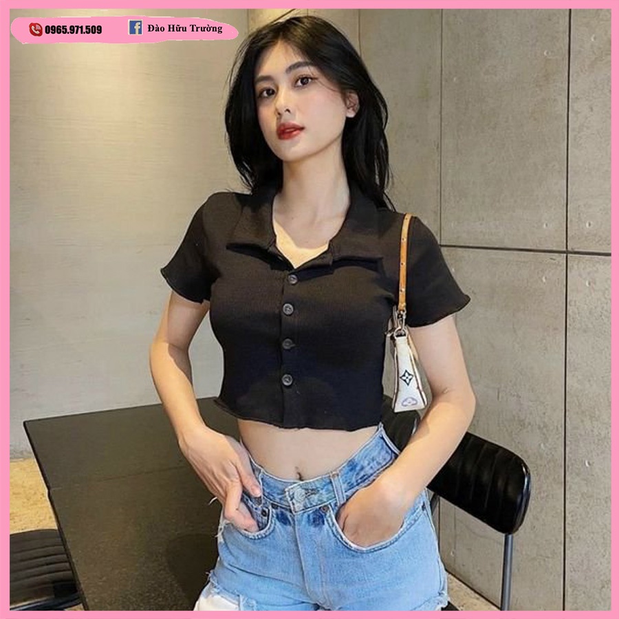 Áo coptop nữ có cổ kiểu ôm body tay ngắn chất thun gân cao cấp co giãn mịn màng phong cách hàn quốc CR3