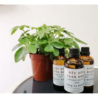 Dầu Dừa Phân Đoạn Befine 50ml - 100ml