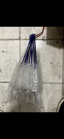 Cây chọt rửa xe