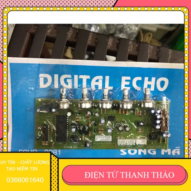 Bo vang Echo