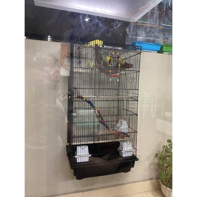 Lồng chim vẹt hình mái bằng thép
