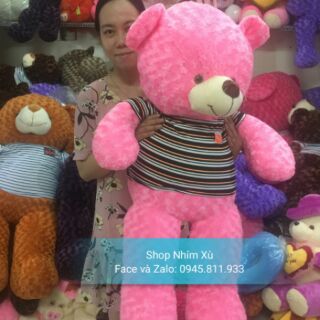 Gấu Teddy 1m2