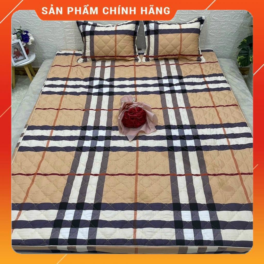 Ga Chun Trần Bông trải giường chất liệu cotton poly giá rẻ nhiều màu sắc lựa chọn | BigBuy360 - bigbuy360.vn