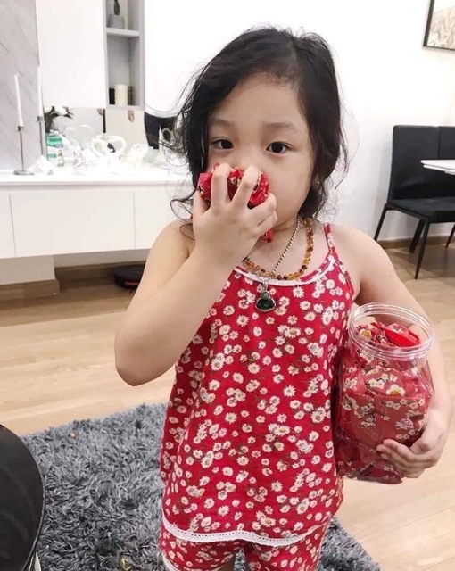 Gói xí muội cây mai