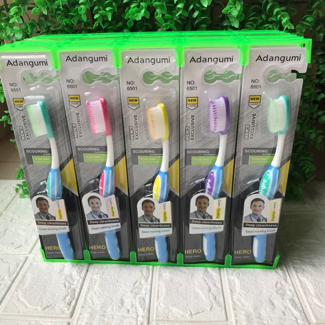 Bàn chải đánh răng Adangumi - 30 cái/lốc