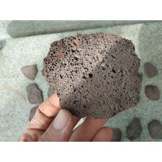 Giá thể bucep- Giá thể nham thạch.