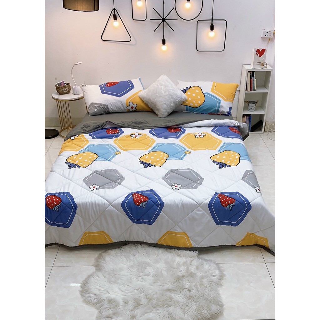 Bộ chăn ga gối cotton đũi , sét chăn chần  5 món  ful siz 1m6 ,1m8,,2m2