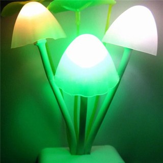 Đèn Ngủ Cảm Ứng Ánh Sáng AVA