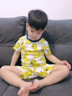 Bộ sư tử little maven