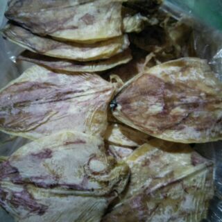 Sỉ mực mini y hình