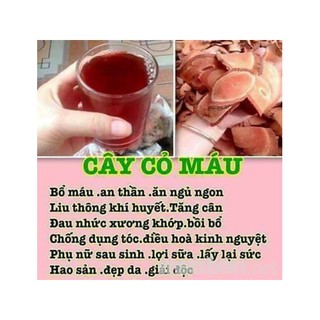 Cỏ máu tăng cân 1 kg