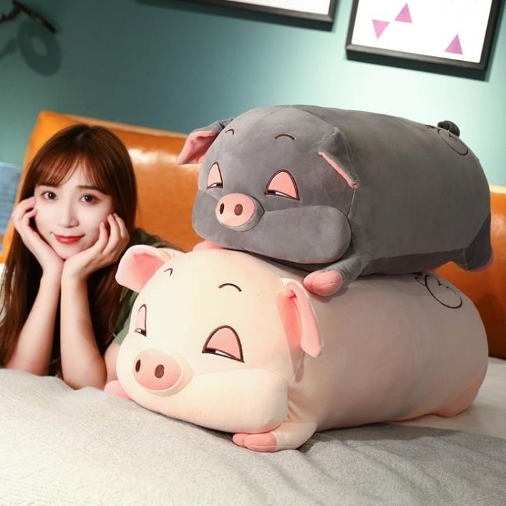 Gấu nhồi bông cao cấp heo Sumo với gương mặt phê ngủ buồn ngủ thú nhồi bông giá rẻ cao cấp bảo hành 6 tháng