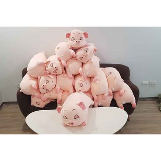 GẤU BÔNG HEO LƯỜI CAO CẤP