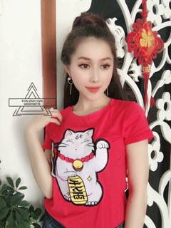 Áo phông mèo