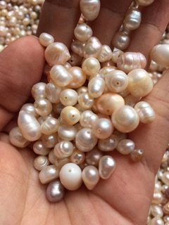 100g Hạt ngọc trai ( dùng xay nghiền bột)