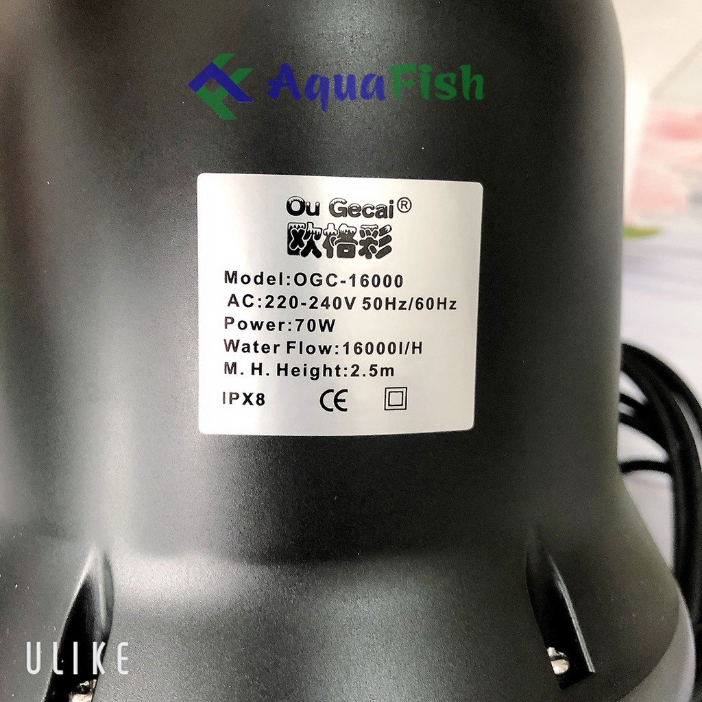 Máy Bơm Chìm Hồ Cá Koi OGC 16000 và OGC 22000
