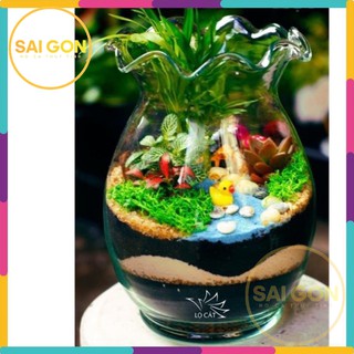 Chậu Thuỷ Tinh Trồng Thuỷ Sinh MADE IN VIỆT NAM SG-BDBL23 BẦU DỤC TRÒN MIỆNG BÈO LỚN