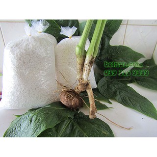 Bột nưa giá rẻ 2kg - bột huyền miền tây